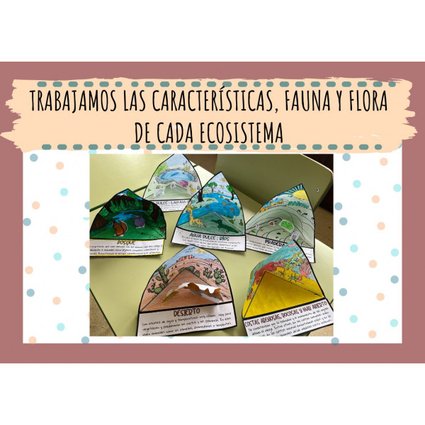 Triorama de ecosistemas