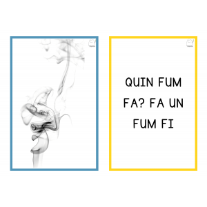 Embarbussaments il·lustrats