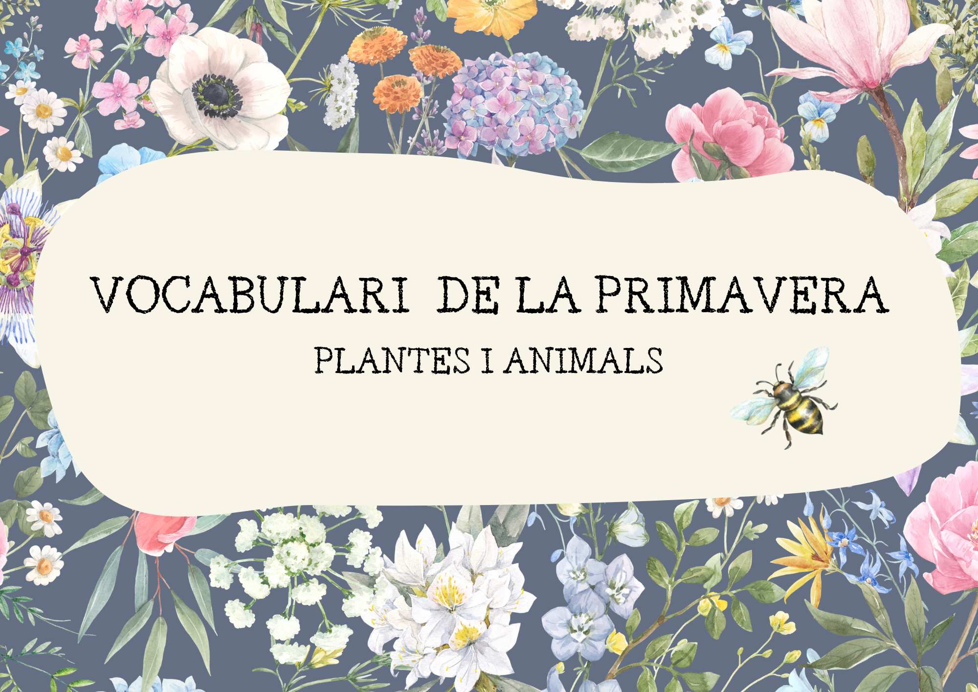 VOCABULARI DE LA PRIMAVERA