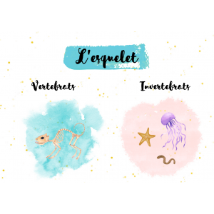 Cartells classificació animals