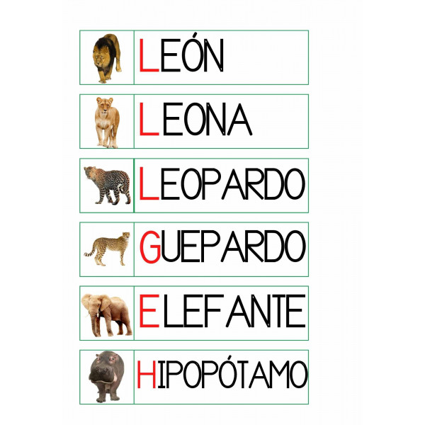 VOCABULARIO ANIMALES SABANA
