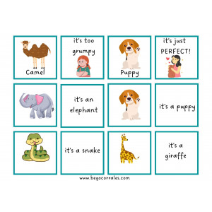Dear Zoo memory game