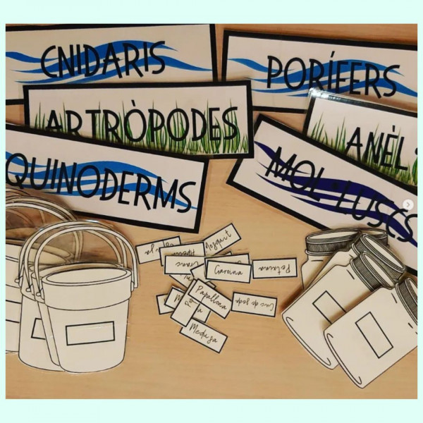 CLASSIFIQUEM ELS ANIMALS INVERTEBRATS