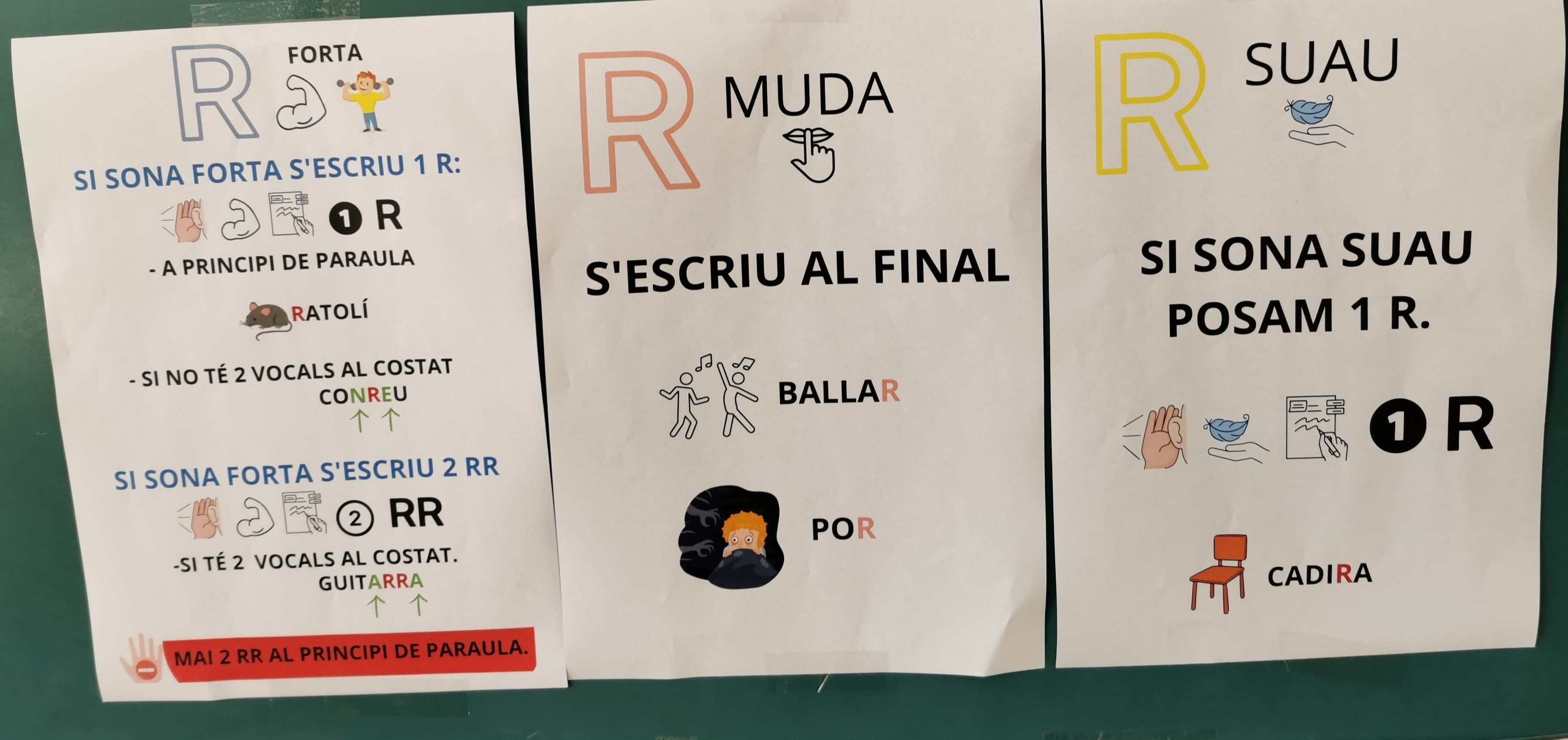 Normes ortogràfiques de la R