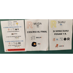 Normes ortogràfiques de la R