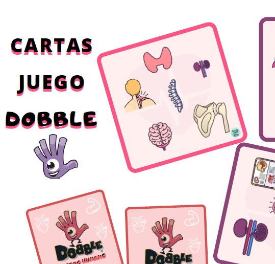CARTAS DOBBLE CUERPO HUMANO