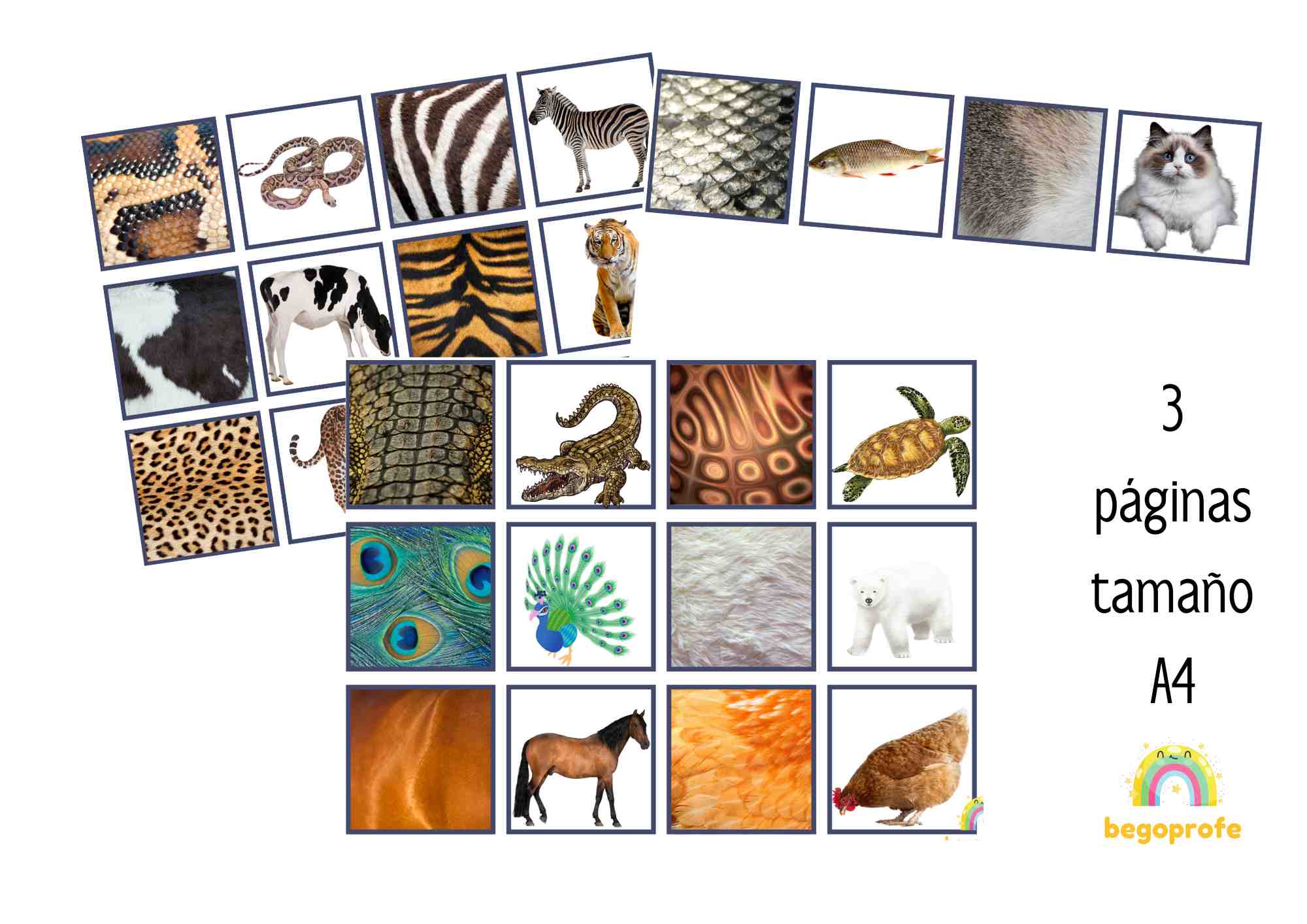 Juego discriminación visual animales y sus pieles