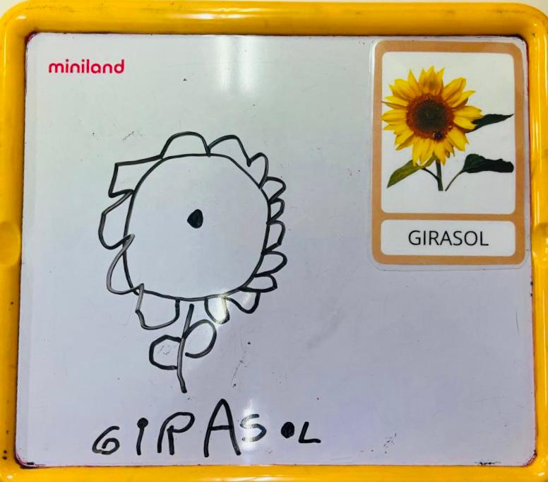 Vocabulari Primavera