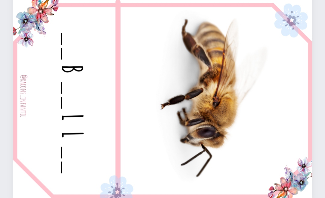 Posa la vocal Primavera