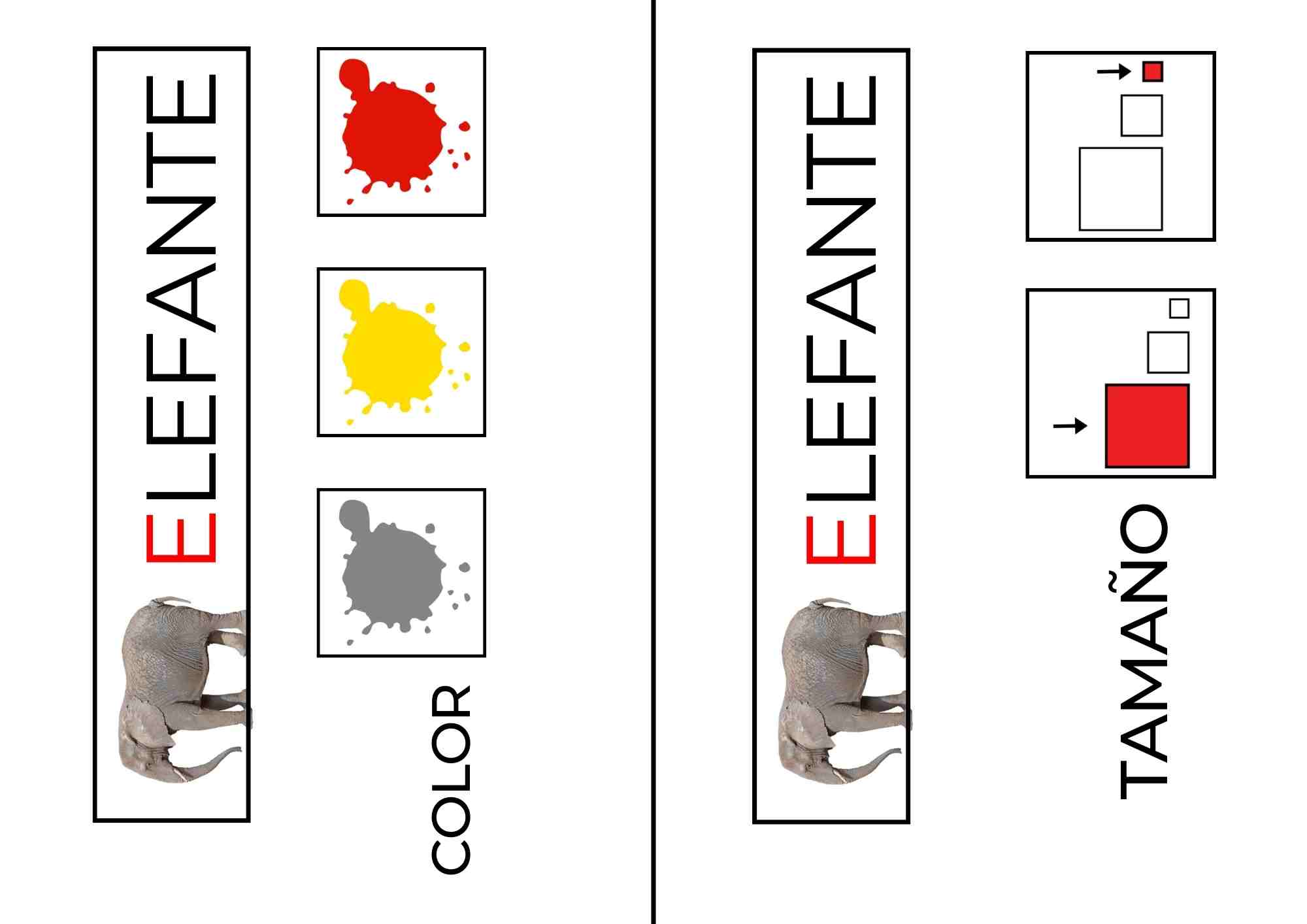 LIBRO PICTOGRAMAS CARACTERÍSTICAS ELEFANTE