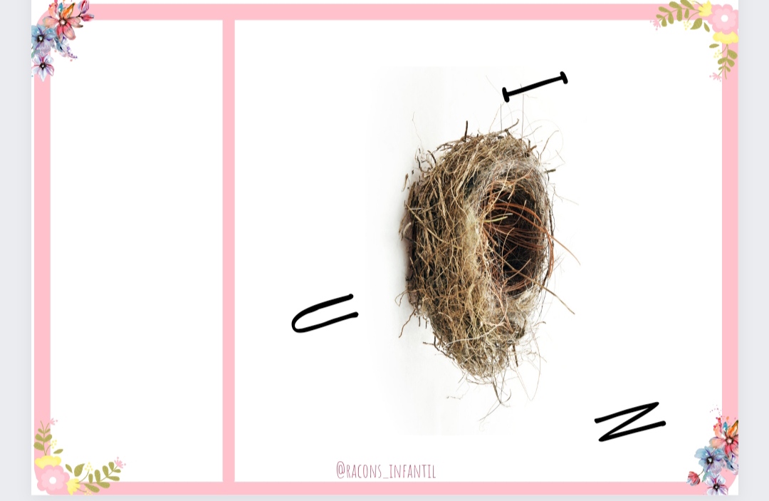 Ordena les lletres Primavera