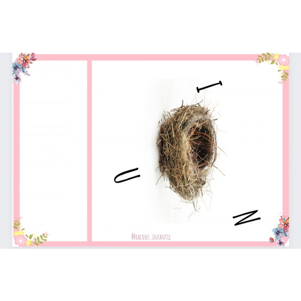 Ordena les lletres Primavera