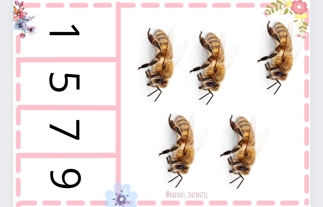 Quants n'hi ha Primavera