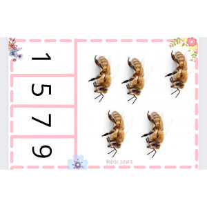 Quants n'hi ha Primavera