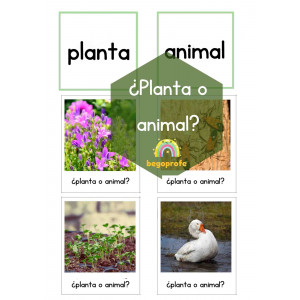 ¿Planta o animal? Juego clasificación primavera