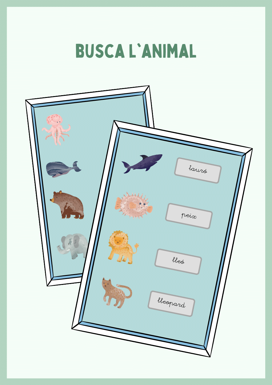 CAT/CAST Busca l'animal