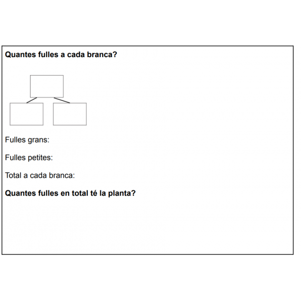 Situació problema amb adaptacions