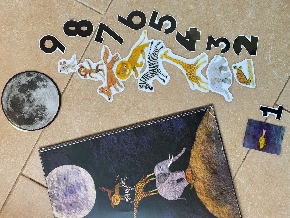 DE QUÈ FA GUST LA LLUNA?