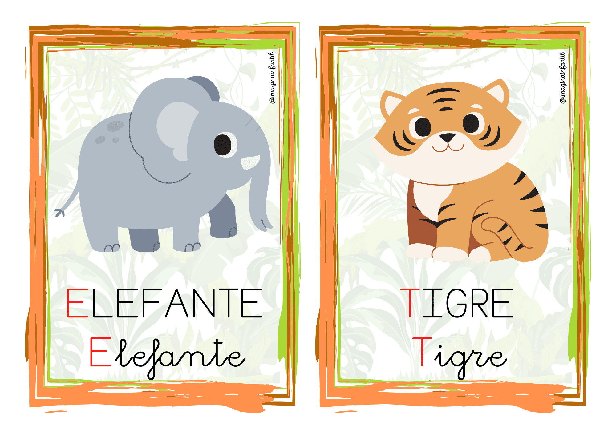 Animales de la selva - Vocabulario