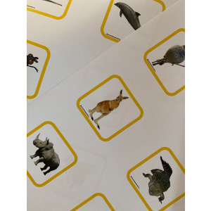 Imágenes descriptibles