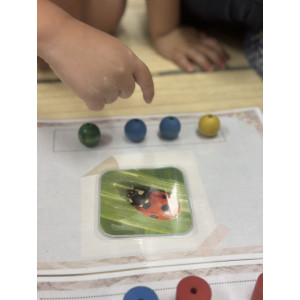 Piquem síl·labes (la primavera)