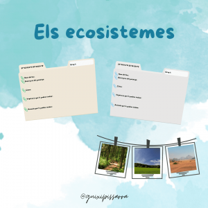 Els ecosistemes
