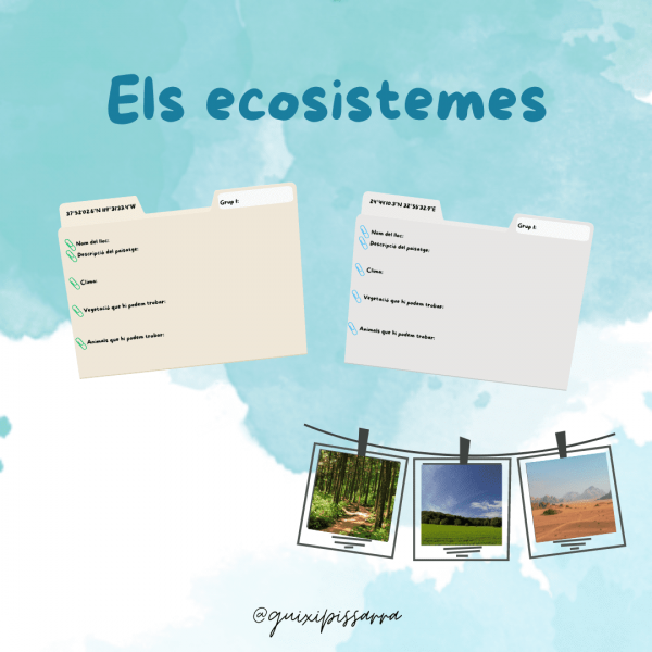 Els ecosistemes