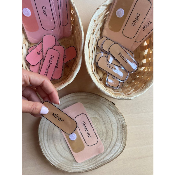 Sinònims i antònims