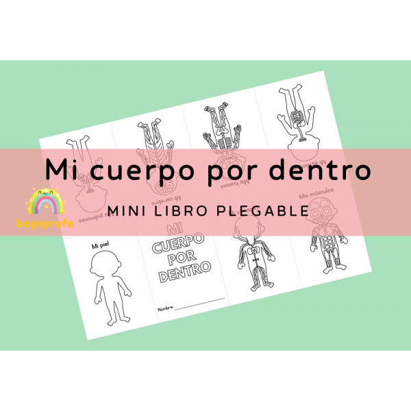 Mi cuerpo por dentro - Mini libro plegable