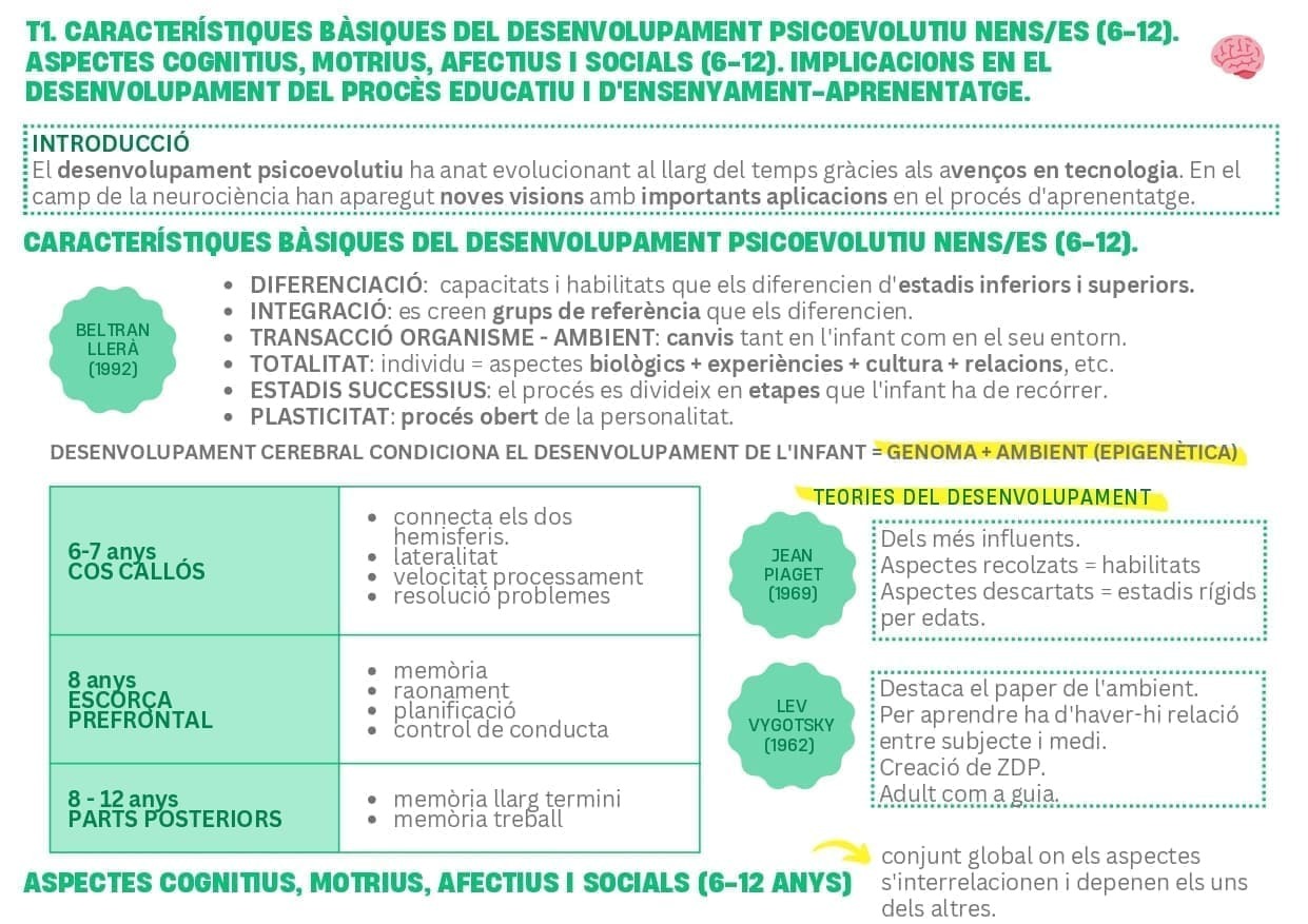 TEMA 1: CARACTERÍSTIQUES BÀSIQUES DEL DESENVOLUPAMENT PSICOEVOLUTIU NENS/ES (6-12) RESUM-ESQUEMA