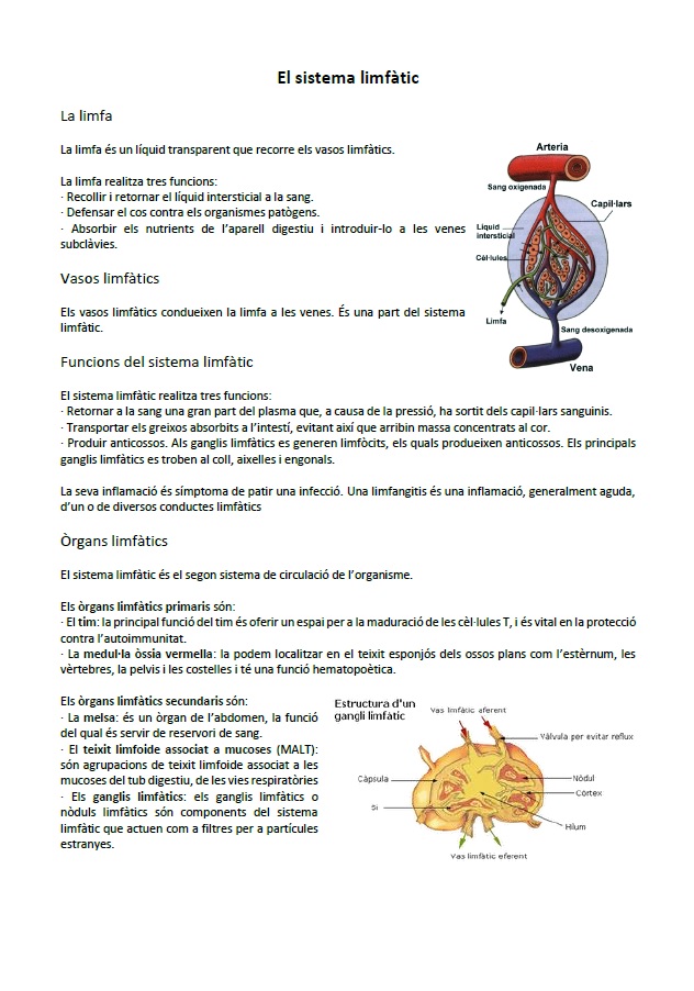 Sistema limfàtic: informació