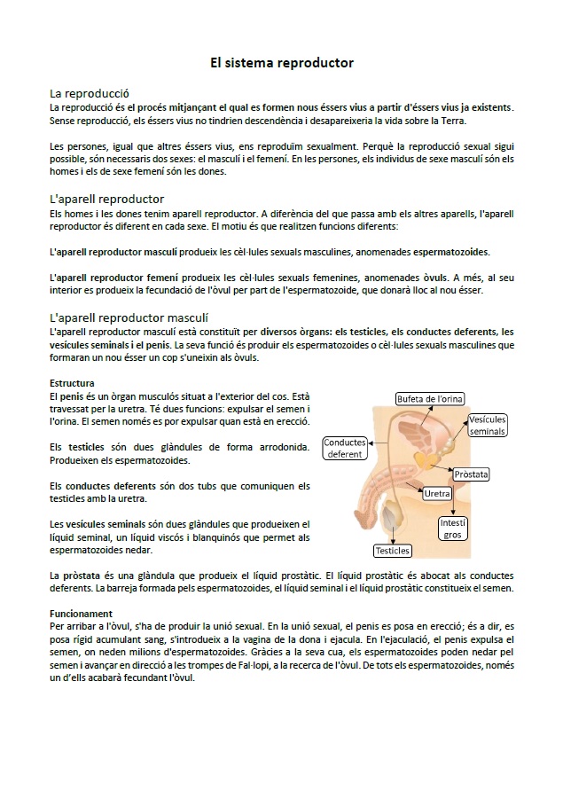 Sistema reproductor: informació