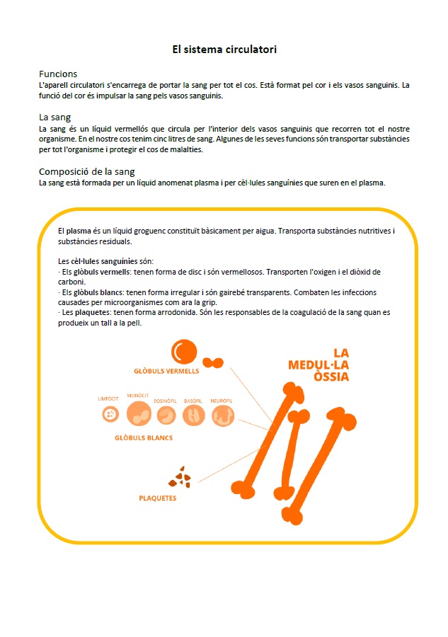 Sistema circulatori: informació