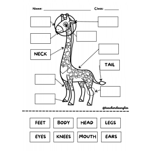 GIRAFFES CAN'T DANCE UNIT WORKSHEET