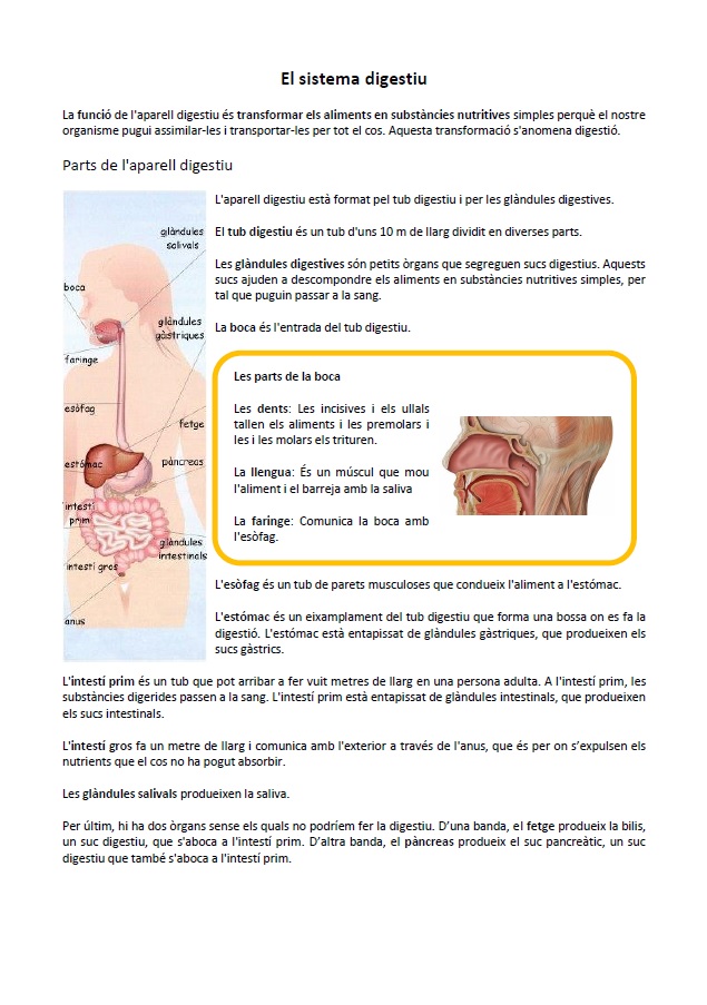 Sistema digestiu: informació