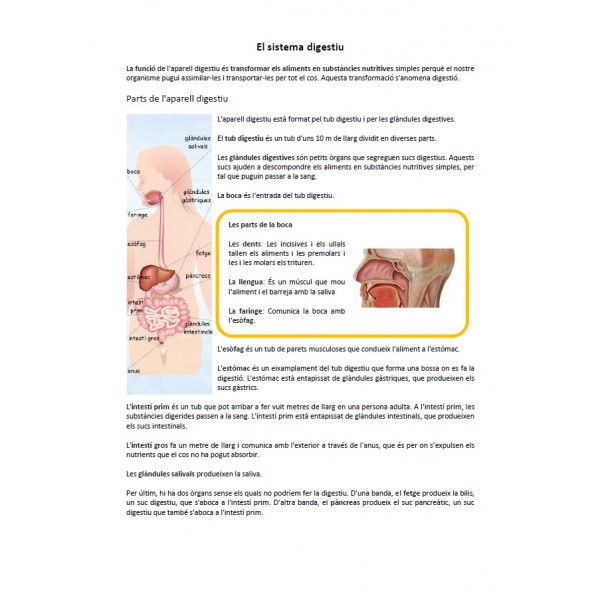 Sistema digestiu: informació