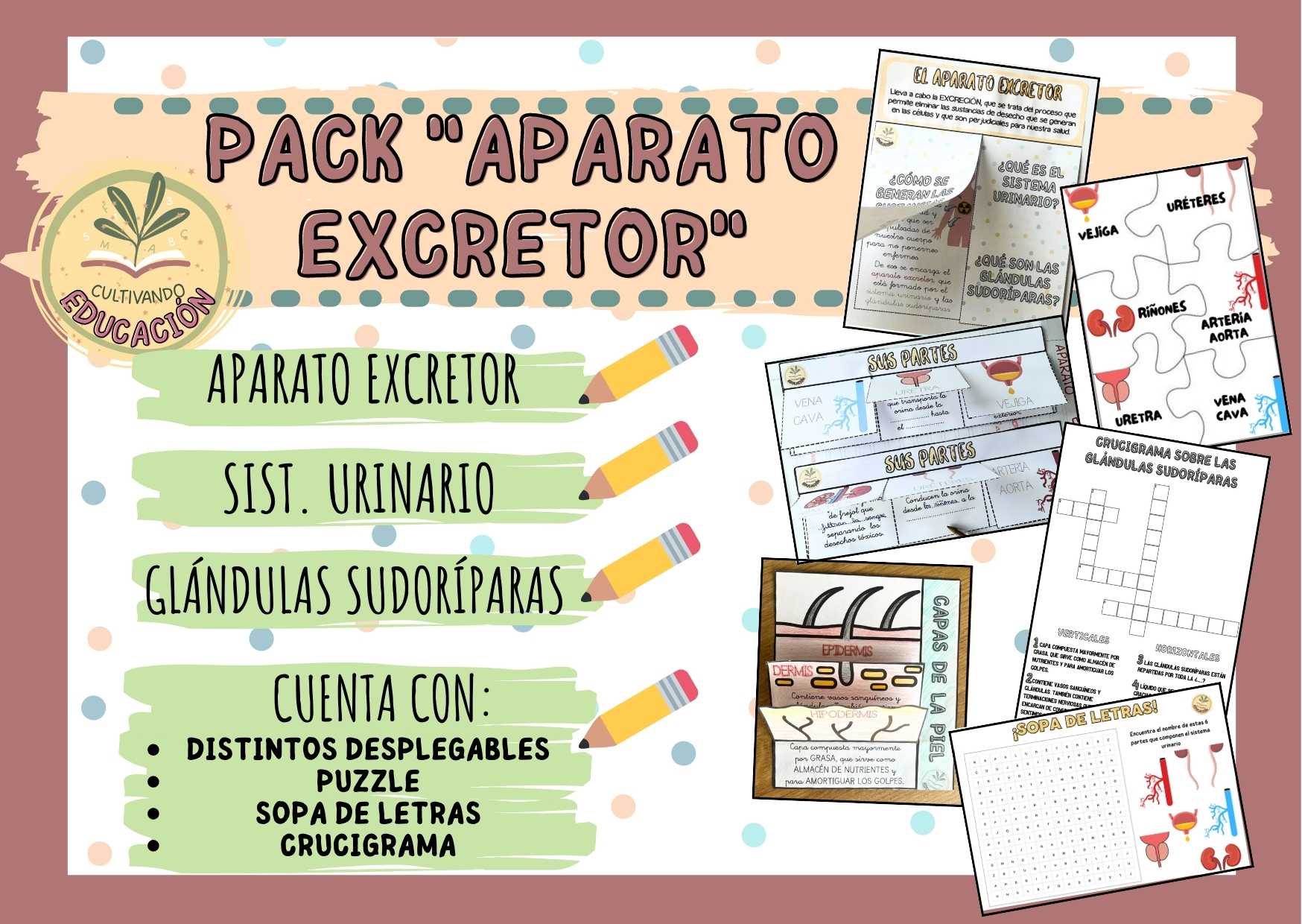 PACK APARATO EXCRETOR