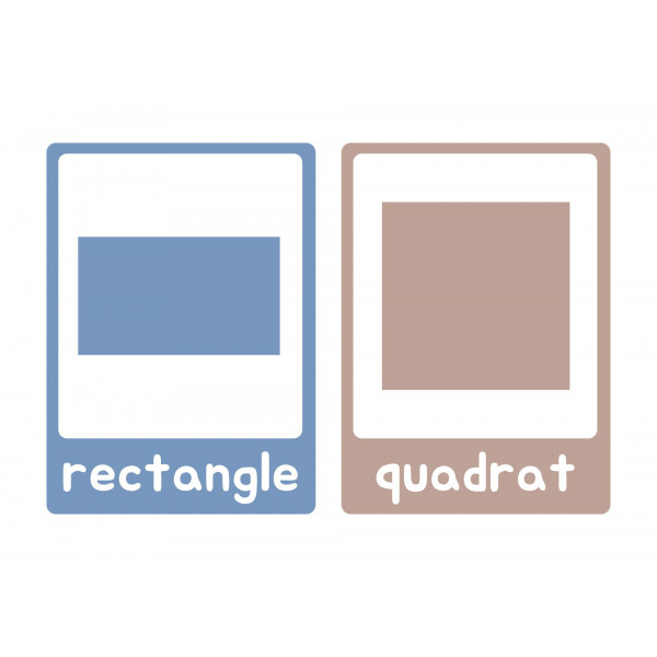 Formes comunes - Targetes