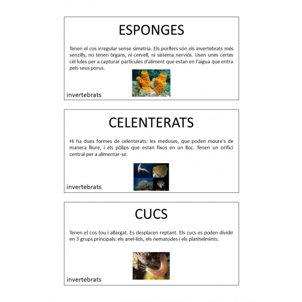 Invertebrados - Tarjetas