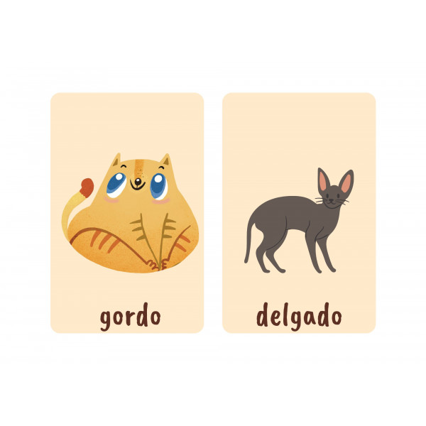 Antónimos - Tarjetas