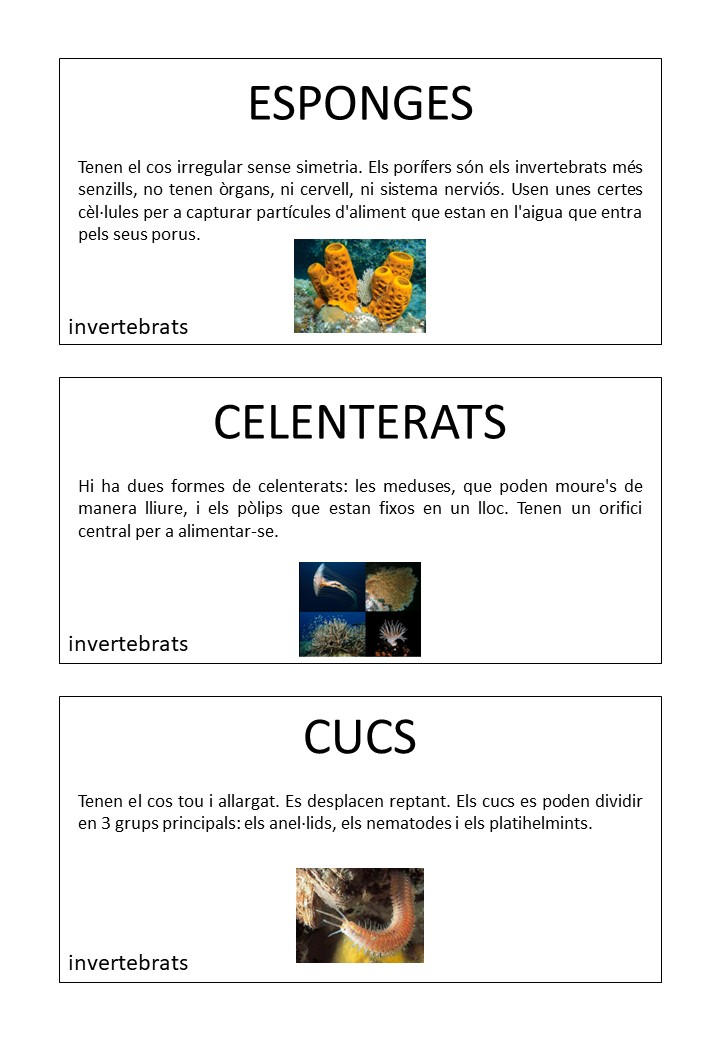 Invertebrats - Targetes