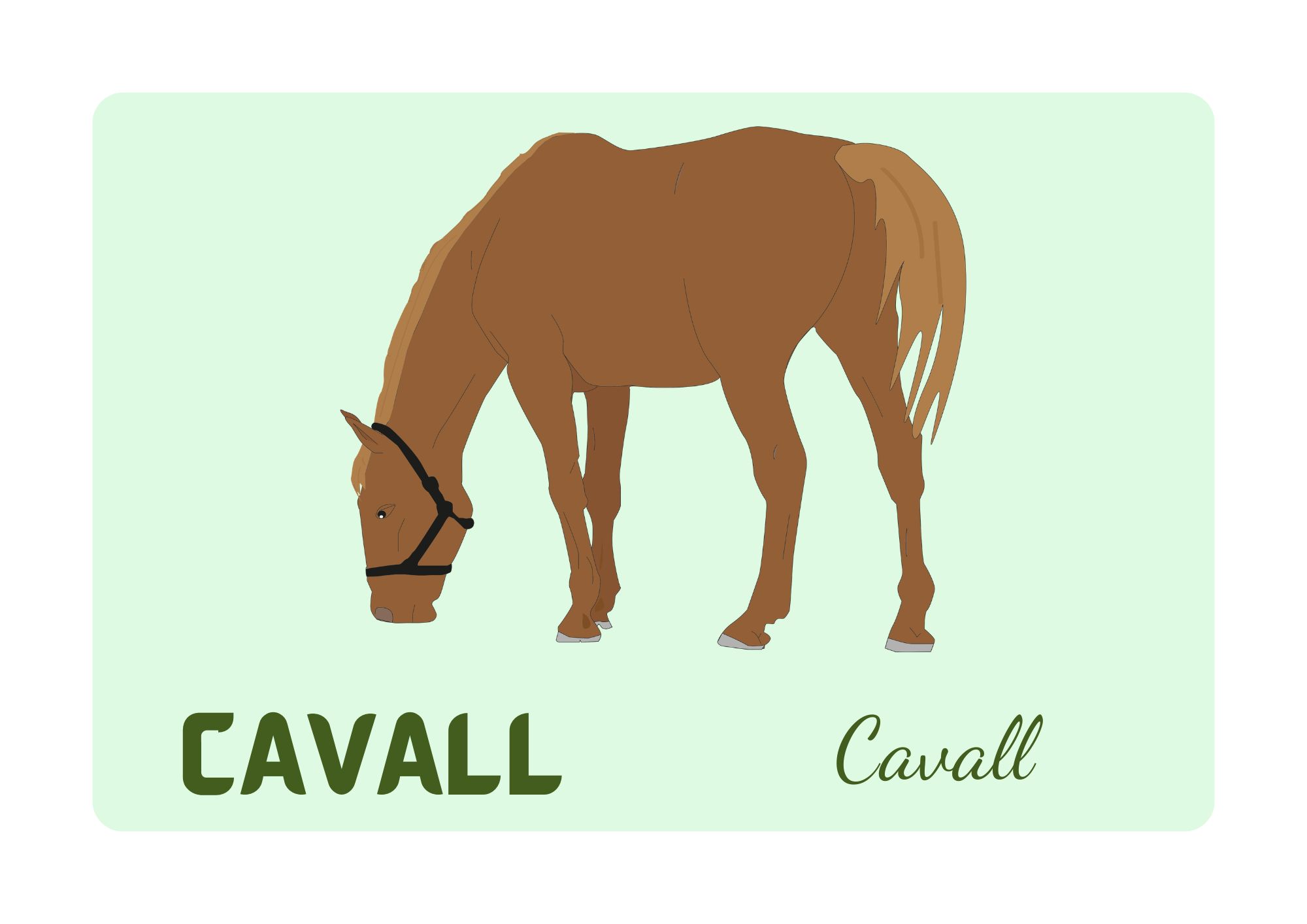 Animales de la granja - Tarjetas