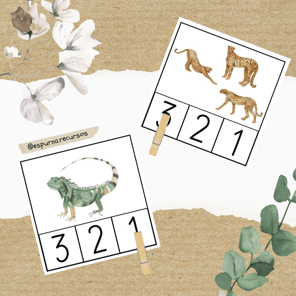 Targetes quantitat-grafia. Comptatge animals