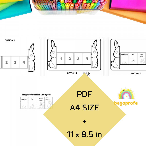 Life cycle of a rabbit craft, Easter ideas