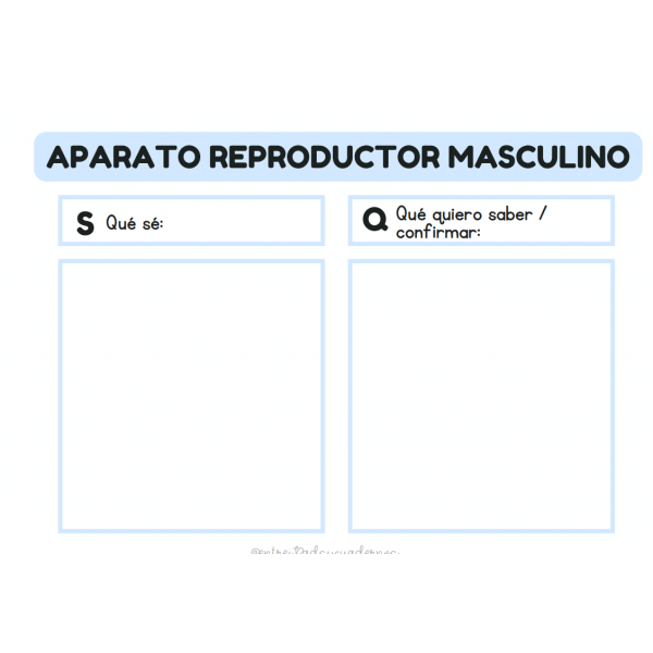 KW REPRODUCCIÓN SEXUAL QUÉ SÉ QUÉ QUIERO CONFIRMAR - ESPAÑOL E INGLES ENTREIPADSYCUADERNOS