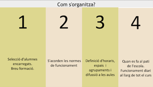 Com organitzar una BIBLIOPATI?