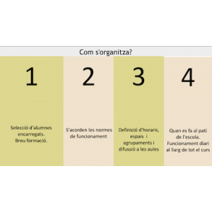 Com organitzar una BIBLIOPATI?