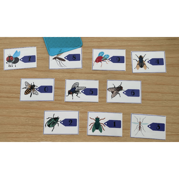 ATRAPA EL INSECTO. JUEGO CÁLCULO MENTAL MATEMÁTICAS. SUMAS Y RESTAS.