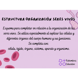 Esquema estructura de organización de los seres vivos