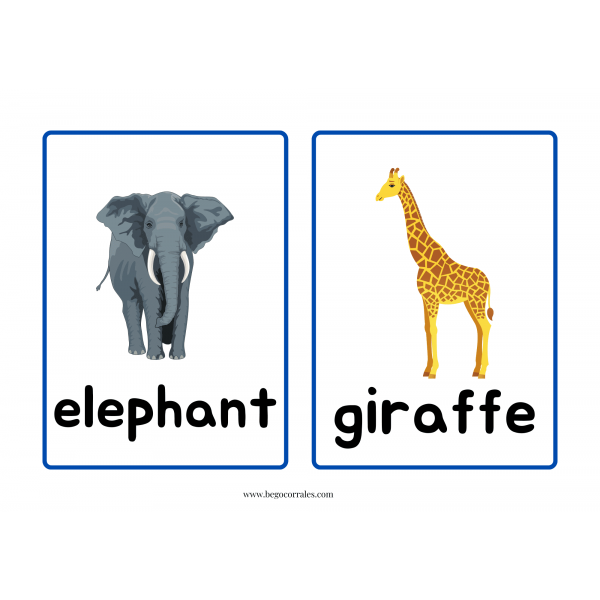 Handa's Surprise flashcards